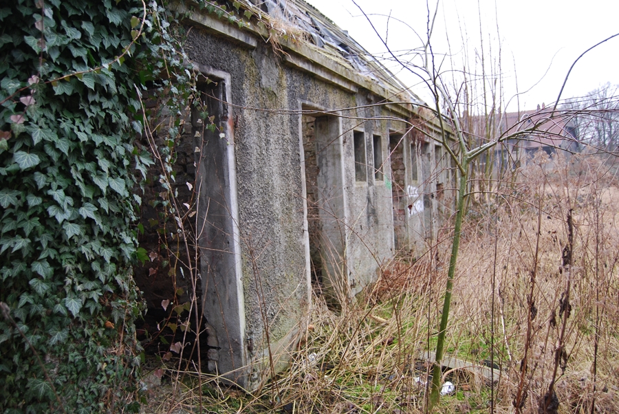 Schlägel und Eisen-Siedlung Ruhrpott 11