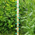So baust du eine Wasserstelle für Bienen & Co. – DIY