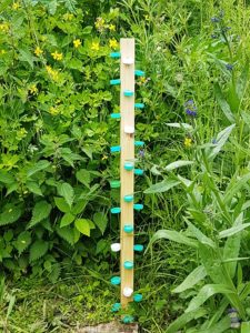 DIY Insekten Tränke Garten Upcycling 06
