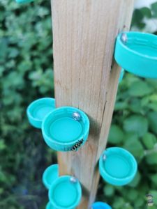 DIY Insekten Tränke Garten Upcycling 08