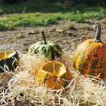 Kürbis Kerze DIY – Herbstzauber schnell und einfach