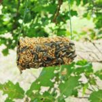 Vogelfutter Aufhänger aus Papprolle – Upcycling Idee