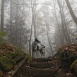 Wochenendzeilen – Neuanfang