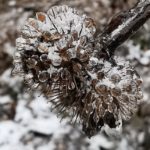 Wochenendzeilen – Beharrlichkeit und Freude