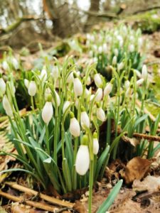 Wochenendzeilen Ende Februar 02
