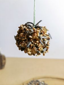 DIY Vogelfutter Tannenzapfen Kiefer selber machen 05 