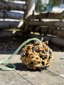 DIY Vogelfutter Tannenzapfen Kiefer selber machen 09