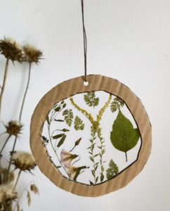 Fensterbilder mit getrockneten Pflanzen 05