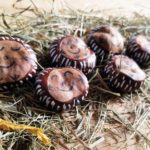 Süße Igel aus Kastanien selber machen – DIY