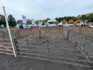 Schafmarkt Mayen Lukasmarkt 03