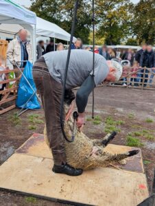 Schafmarkt Mayen Lukasmarkt 56