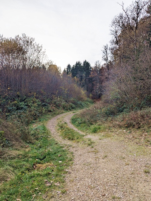 Burgruine Neublankenheim 01