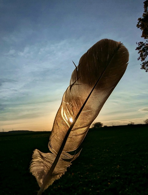 Schamanische Naturrituale Kurs 04