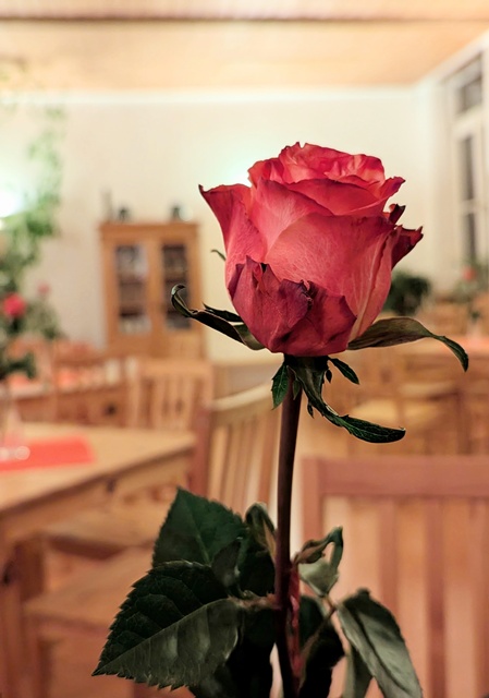 Figuren Theater Künster Mayen 02