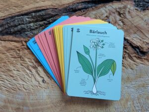 Wilde Rezepte Survival Siglinde Kartenset Kosmos 03