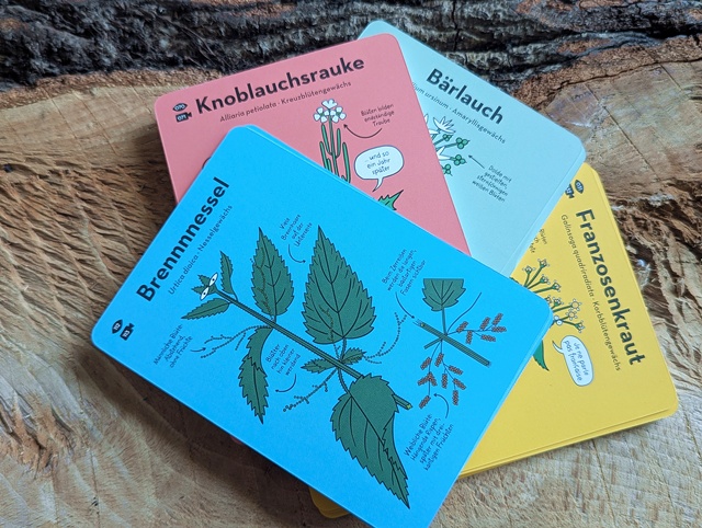 Wilde Rezepte Survival Siglinde Kartenset Kosmos 04