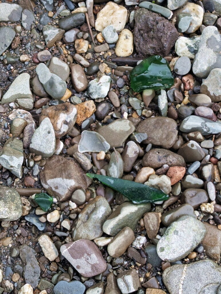 Rhein Einblicke 02